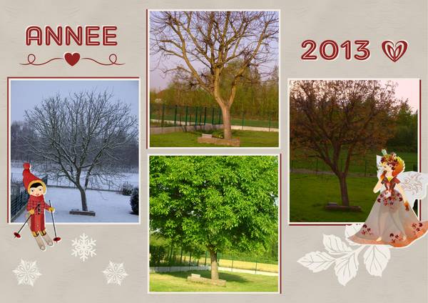 RETROSPECTIVE ANNEE 2013