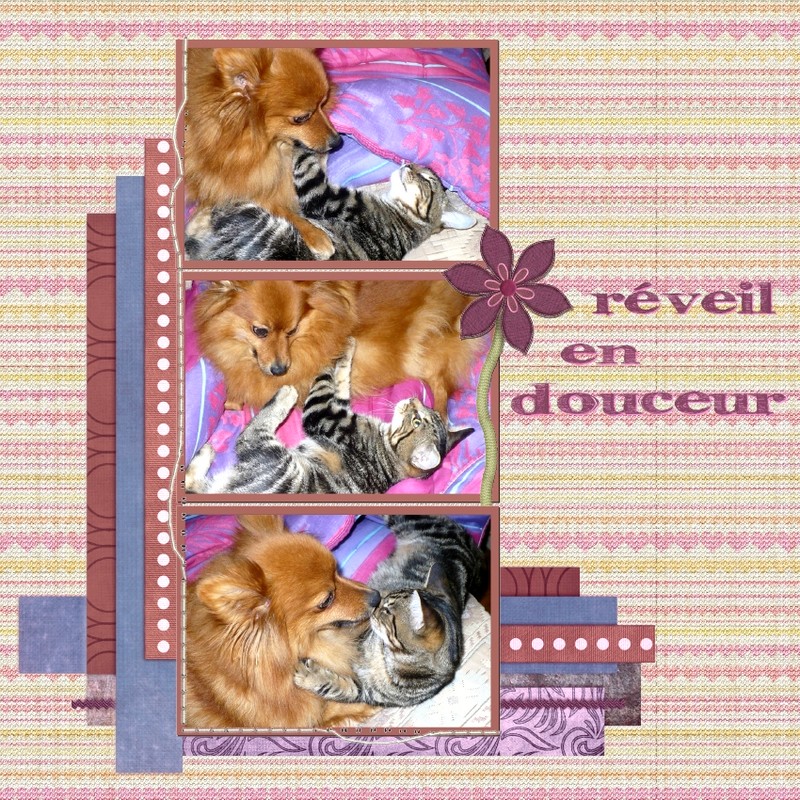 Réveil en douceur