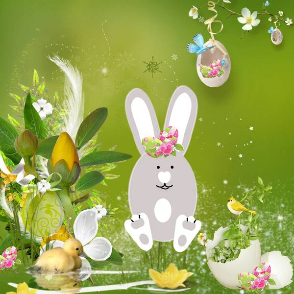 Révélation du personnage du défi