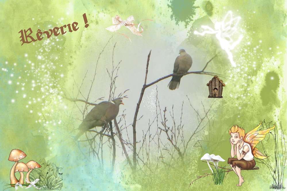 Rêverie !