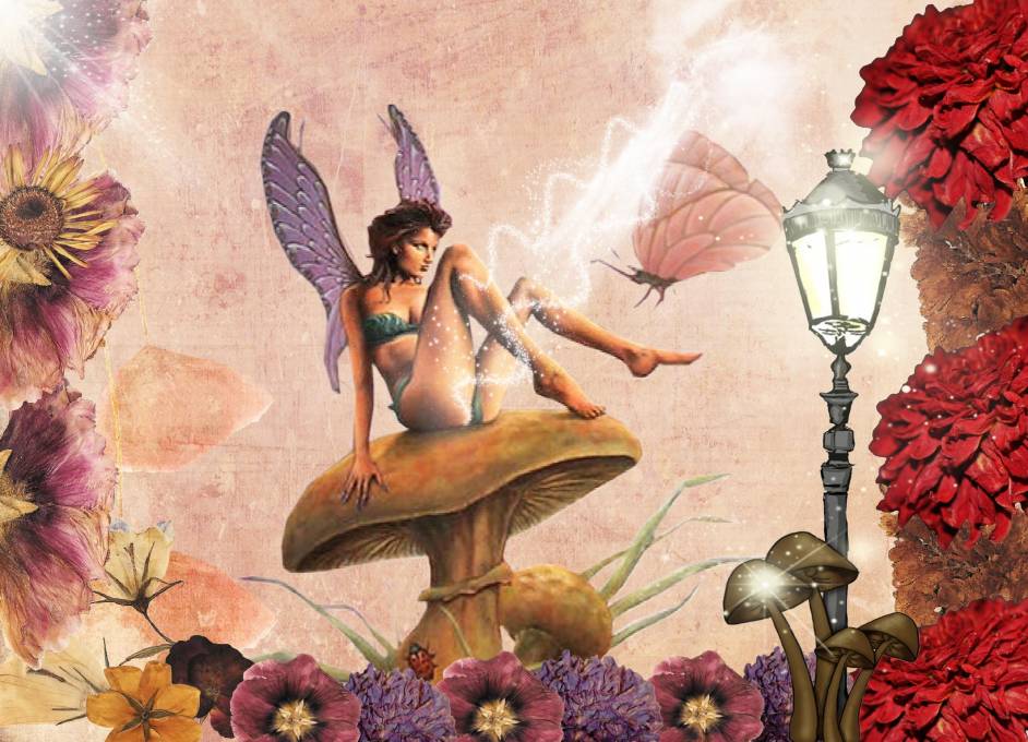 rêveries!.........................