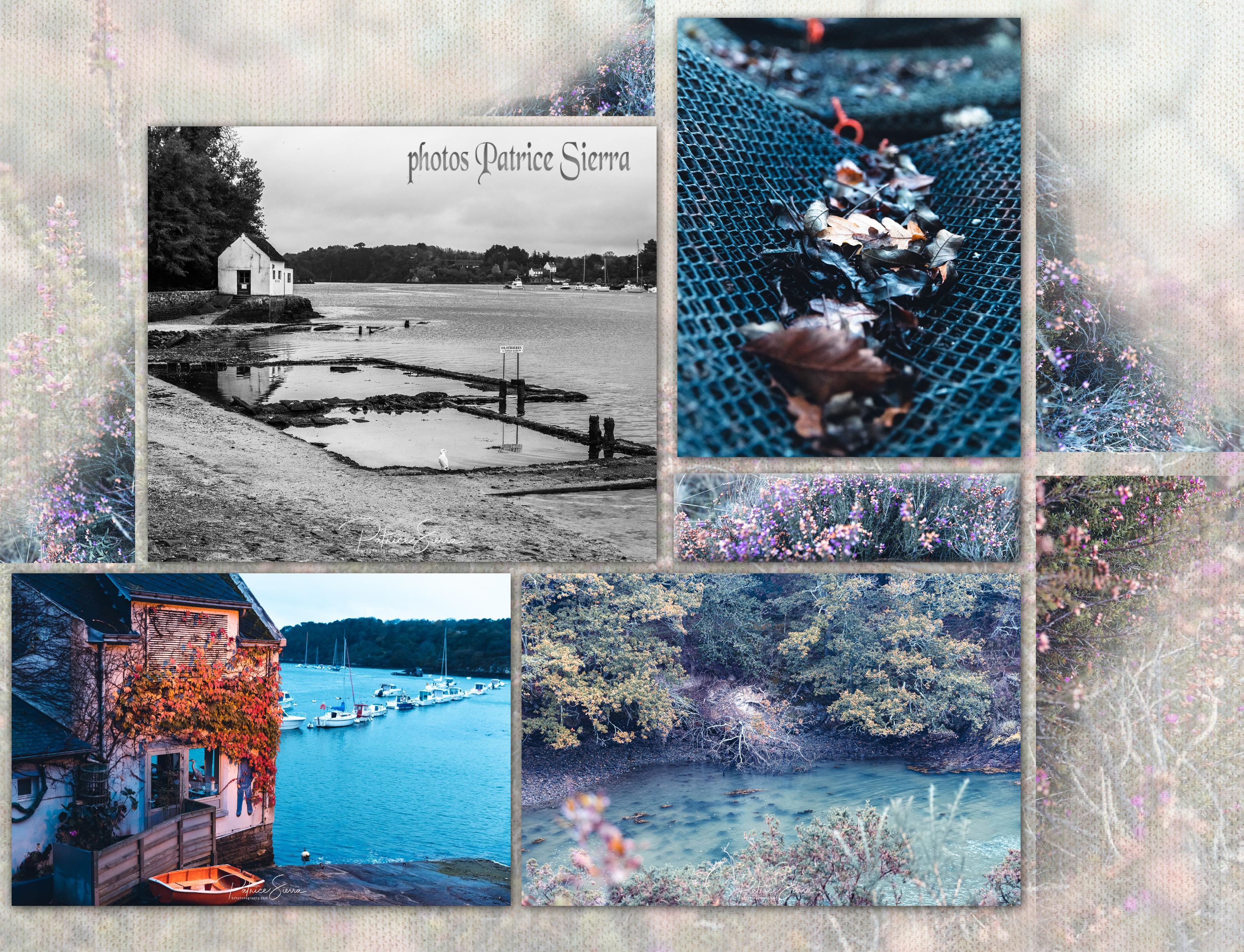 RIEC - photos Patrice Sierra