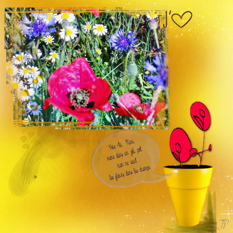rien ne vaut les fleurs dans les champs.jpg