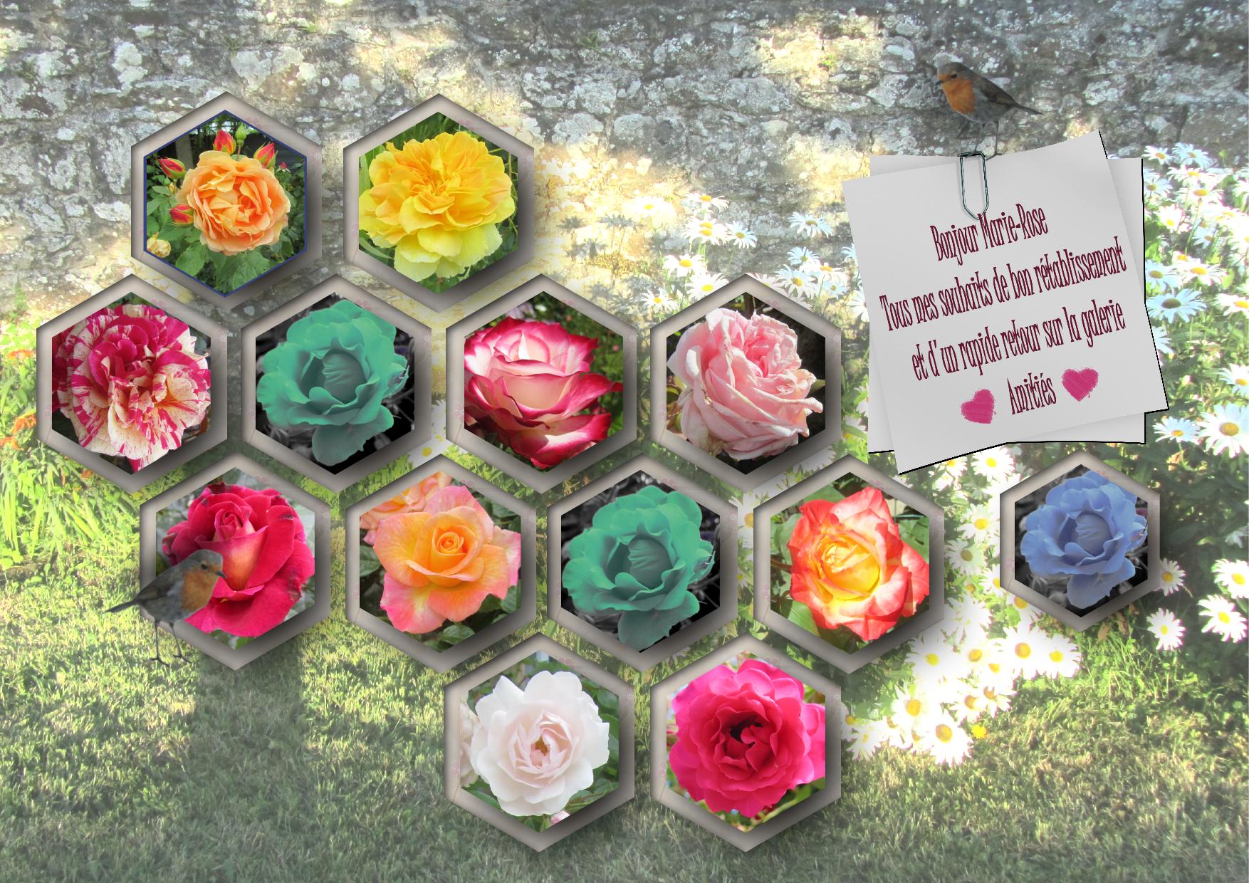 Rien que des fleurs.jpg