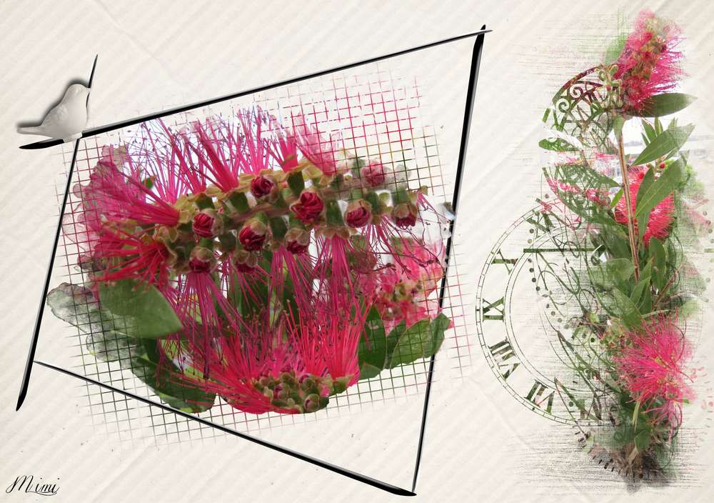 Rince bouteille......