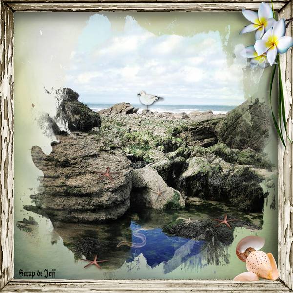 Rochers du Griz-Nez.