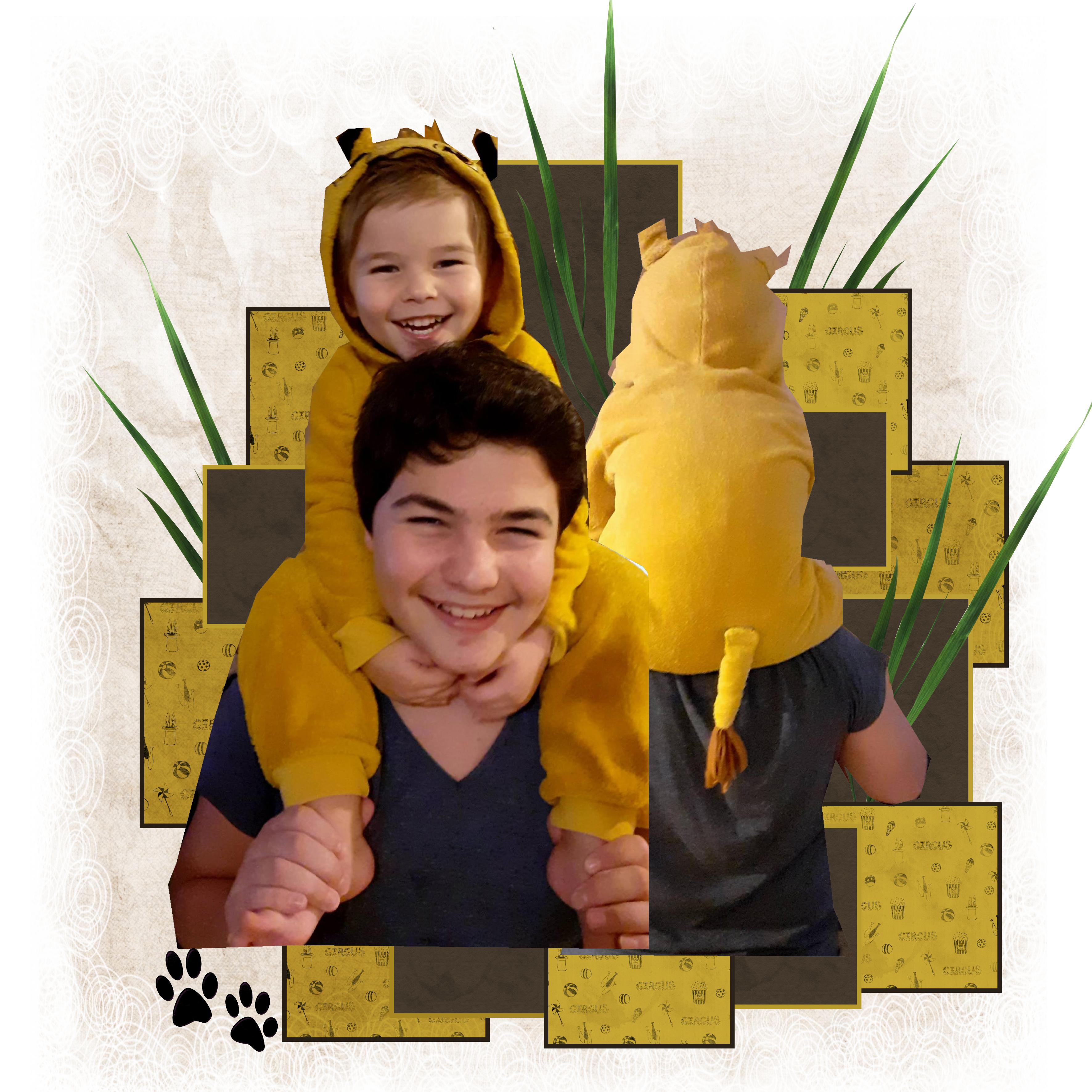 ROI LION AXEL (page 1).jpg