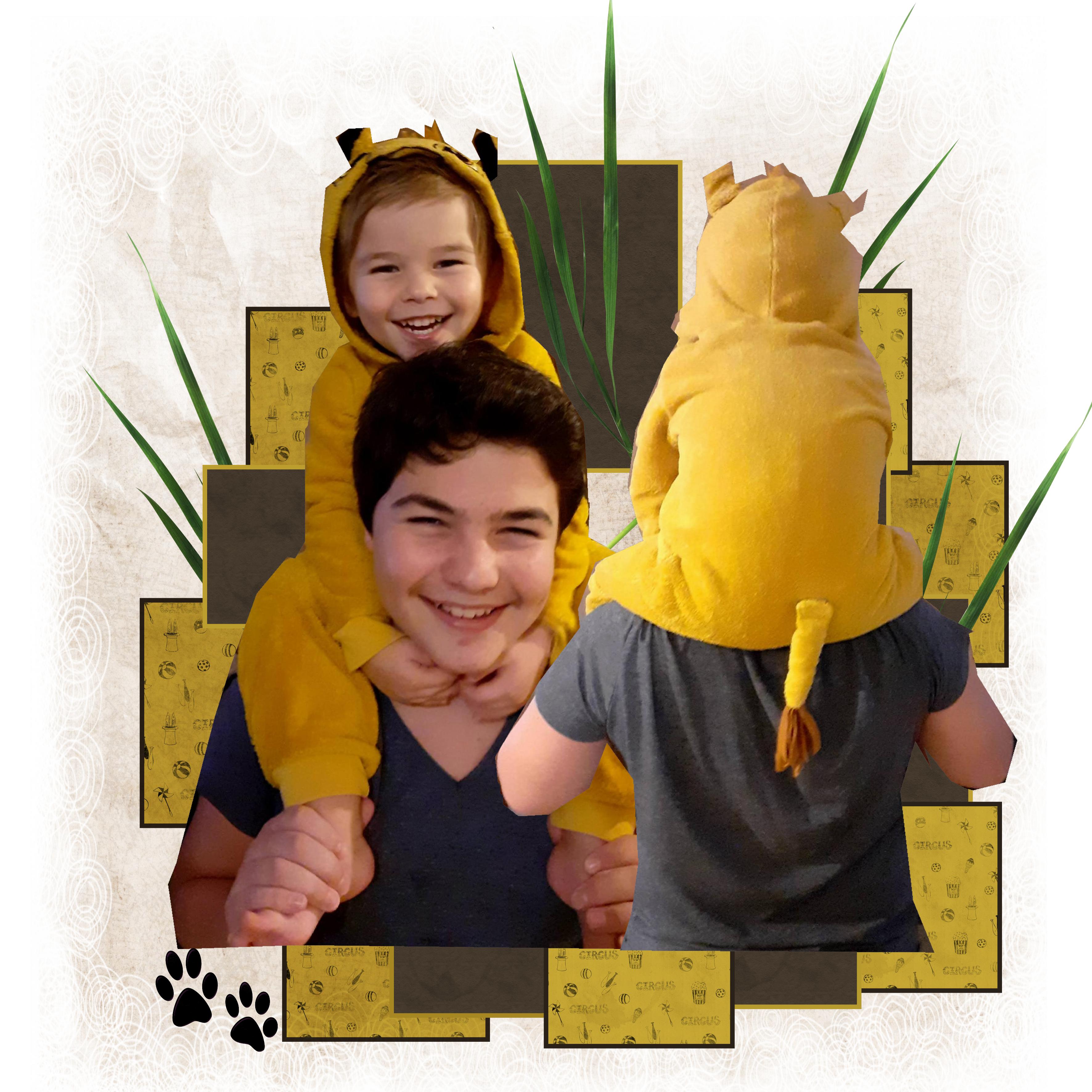 ROI LION AXEL (page 1).jpg