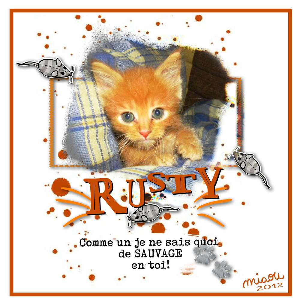 roi_rusty