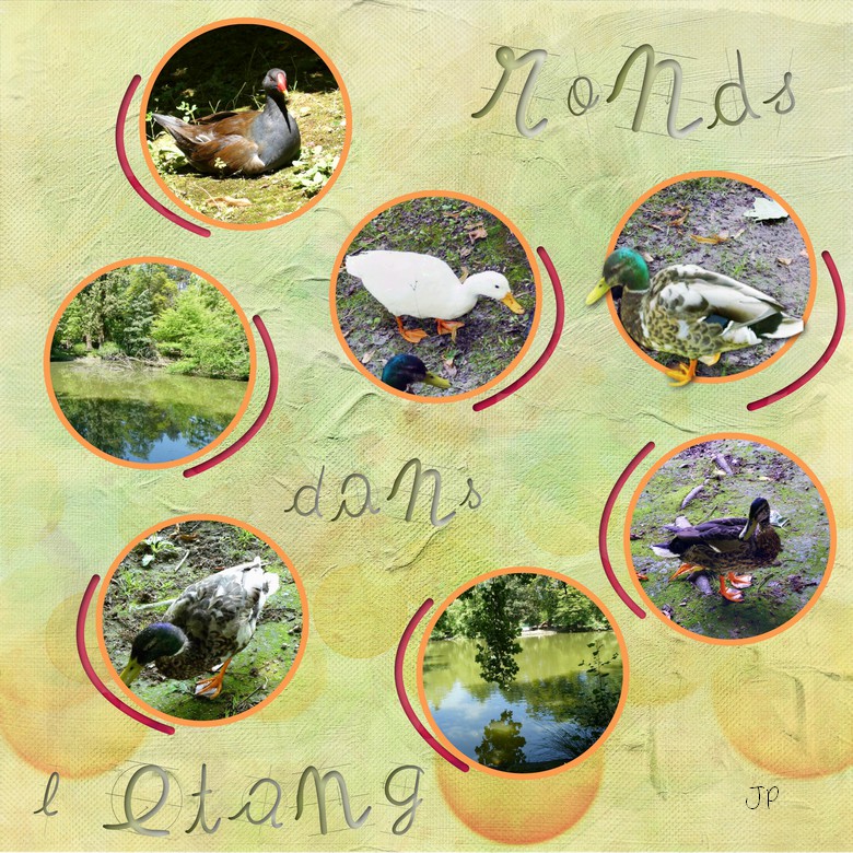 rond dans l 'étang.jpg