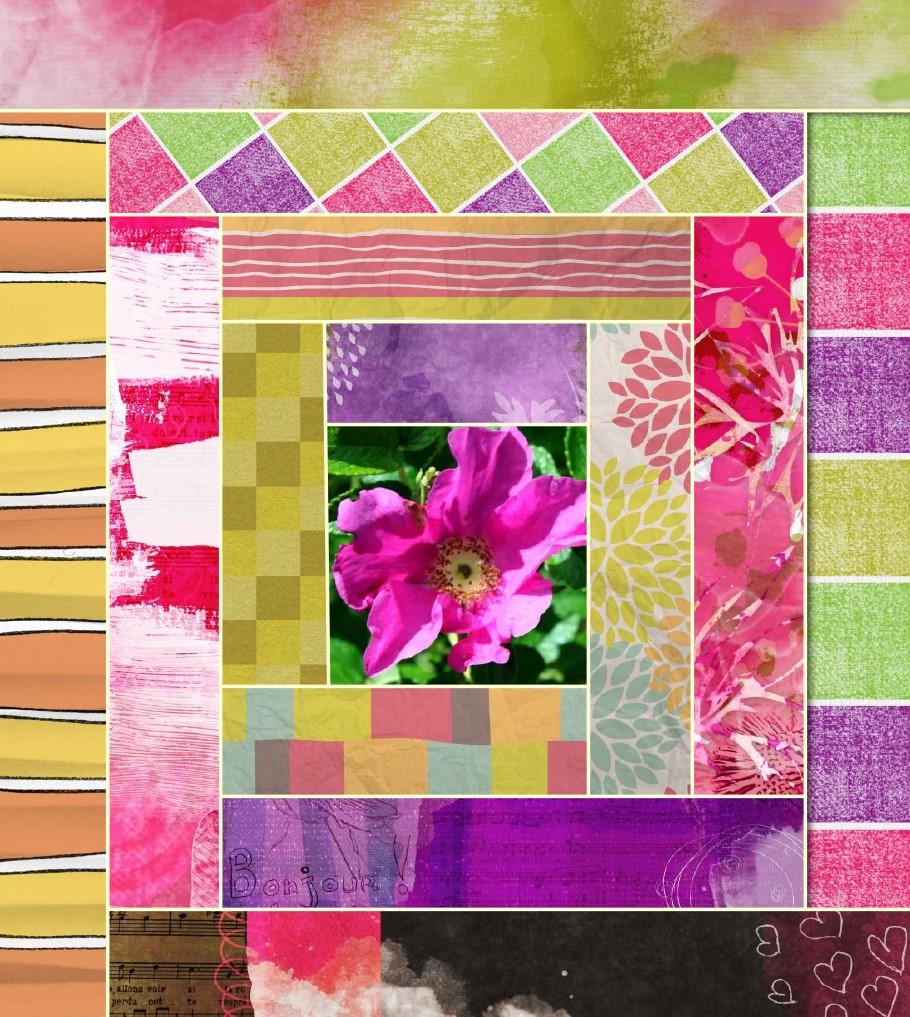 rosa Canina en patch