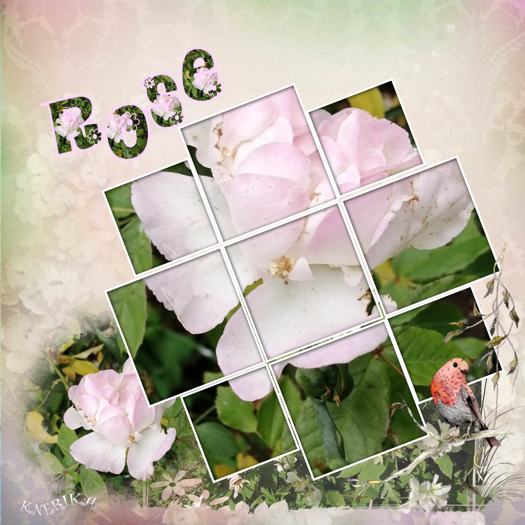 rose, Anne Marie.jpg