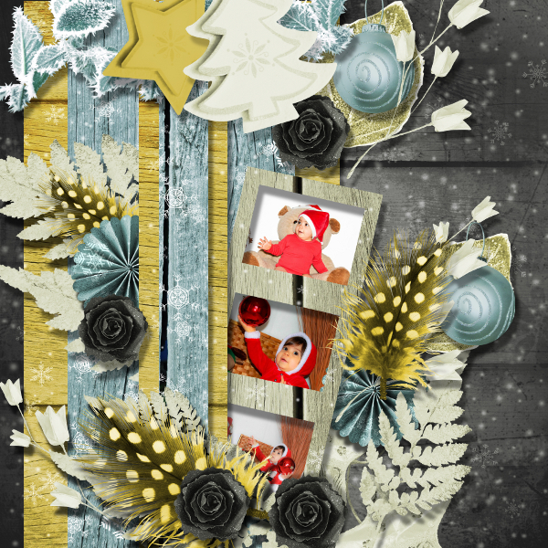 rose d hiver d aurelie scrap