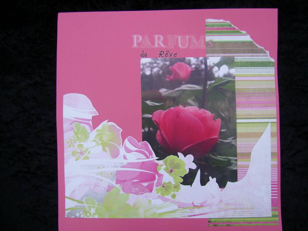 rose.........parfum de rêve