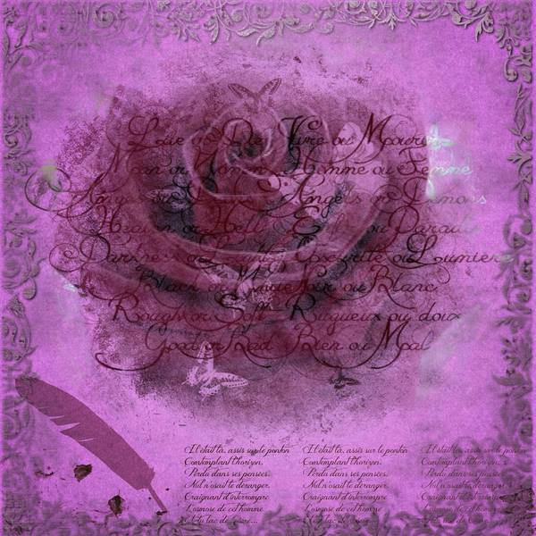 rose pourpre. Défi gilberte