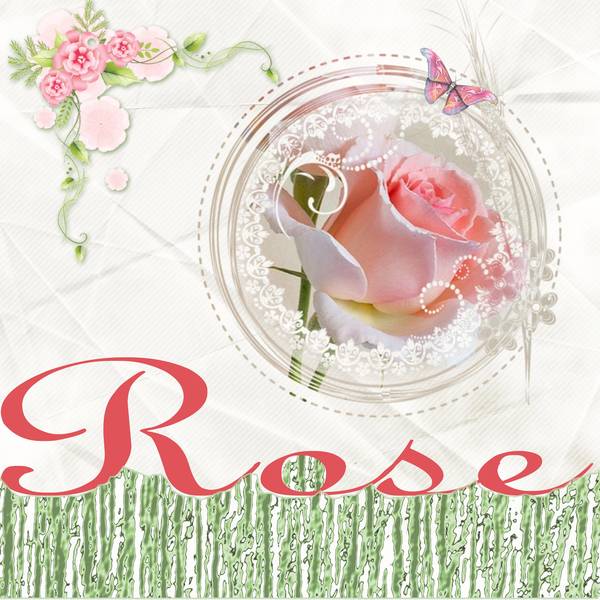 Rose-titre