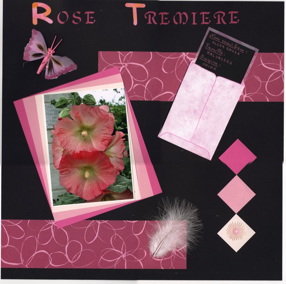 Rose trémière - mise en page 2