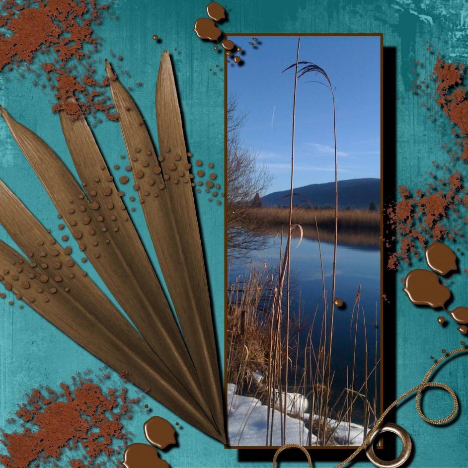 Roseau et fier de l'être!