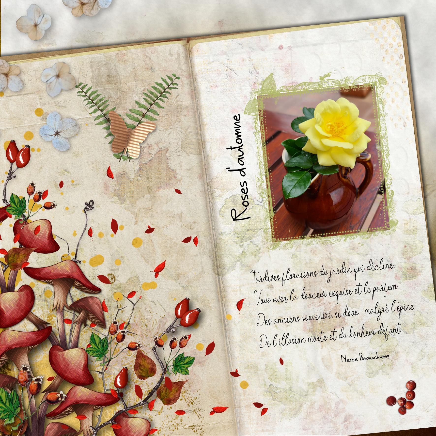 roses d'automne .jpg