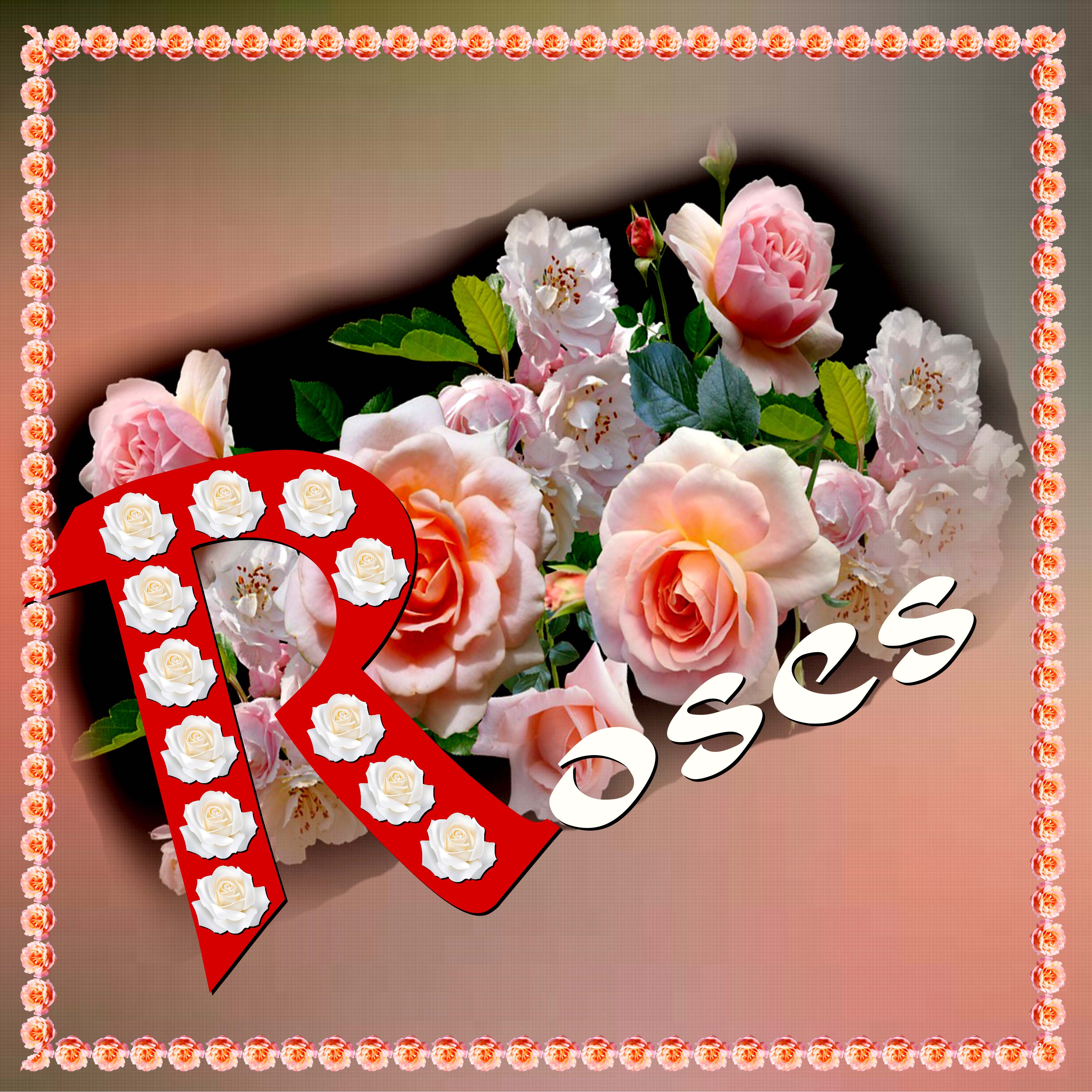 ROSES. Défi Marie Rose