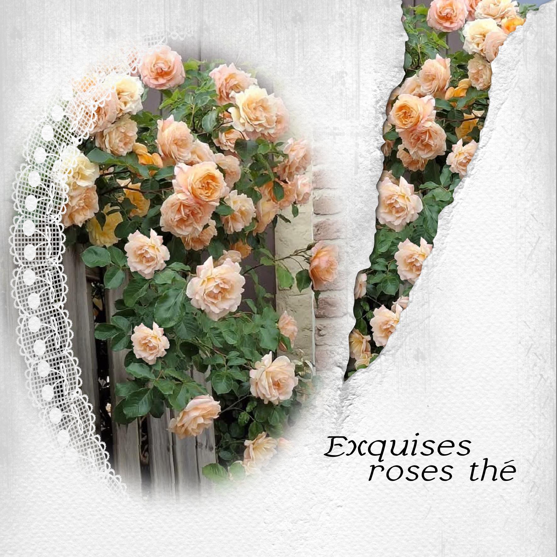 Roses.jpg