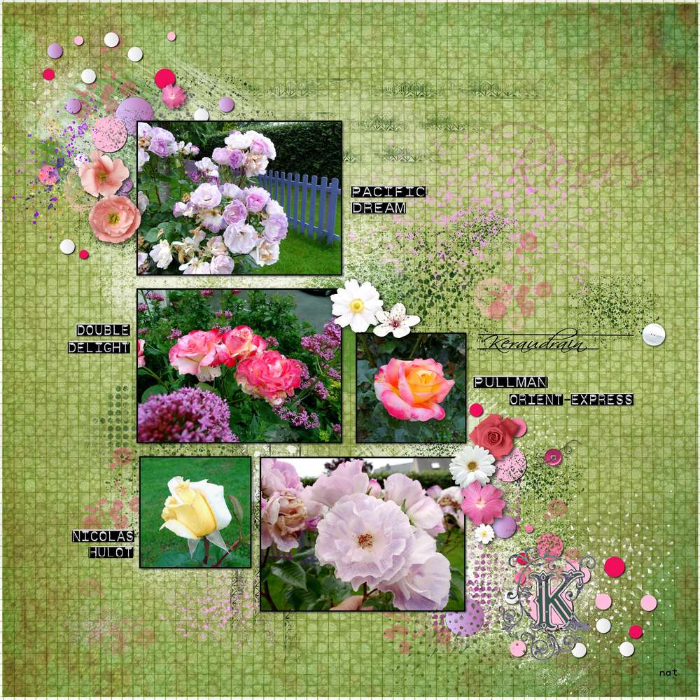 roses_de_keraudrain_2017