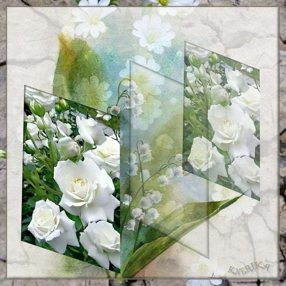 roses_devant__derri__re