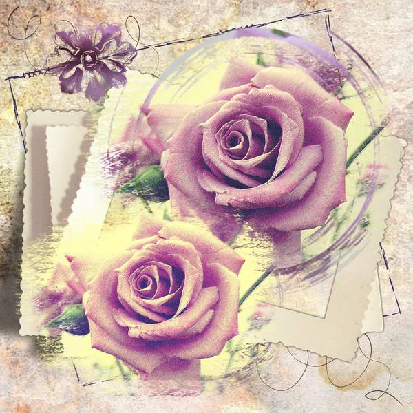 Roses_effet_vintage