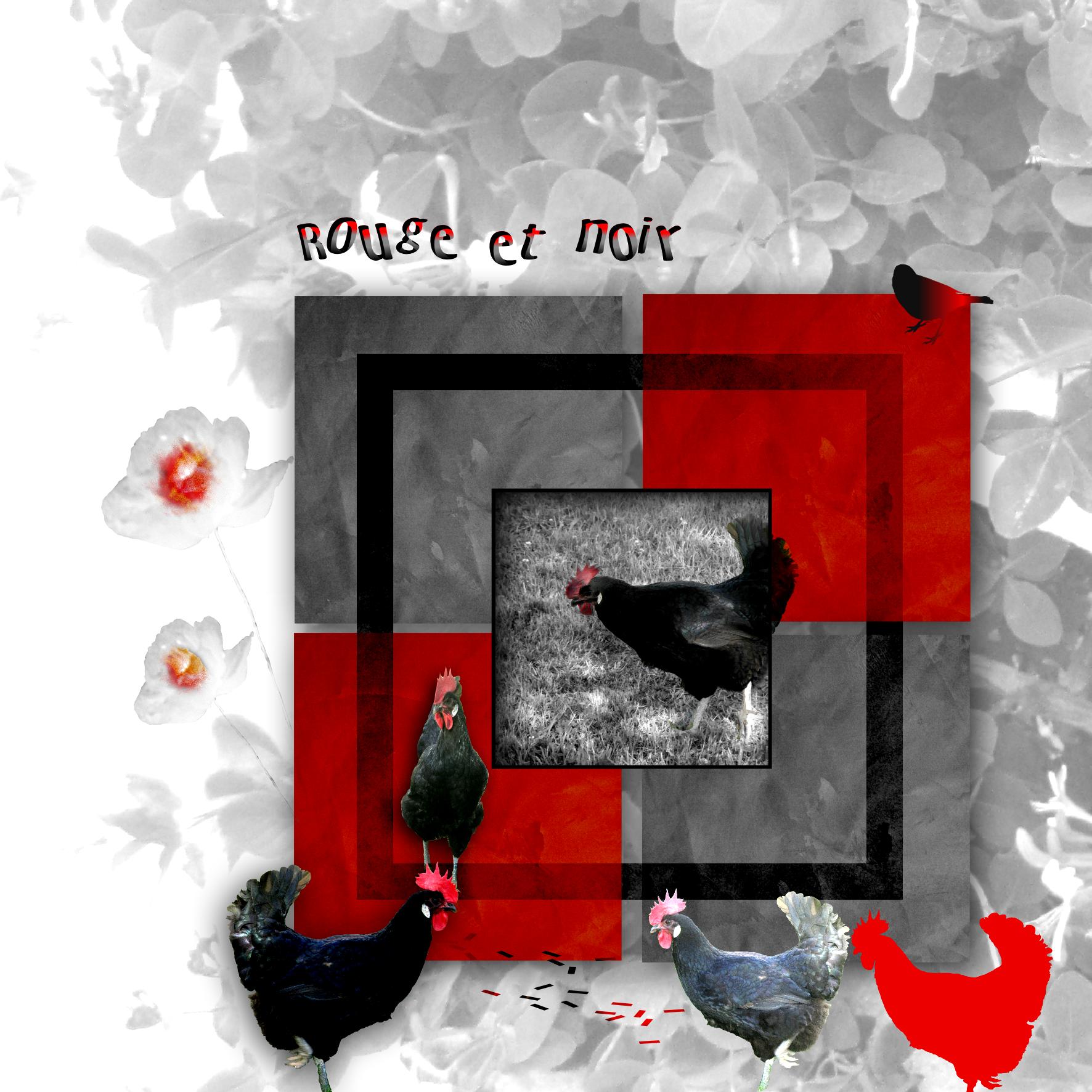 Rouge et Noir.jpg