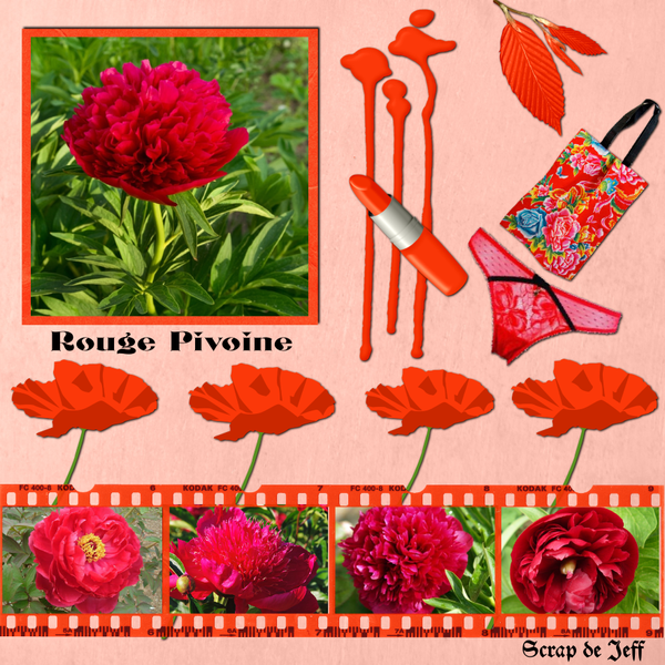 Rouge Pivoine