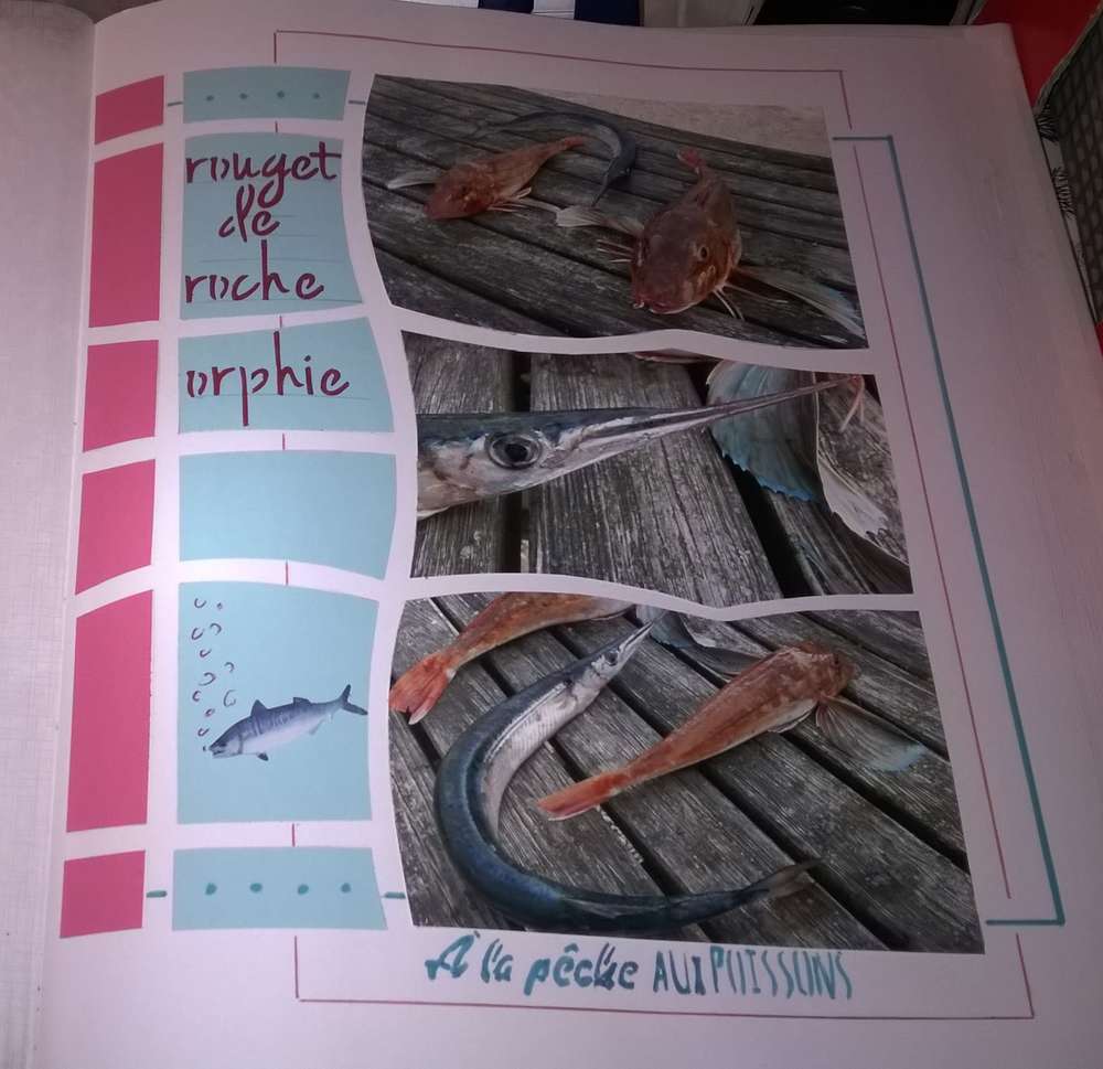 rougets de roche et orphie