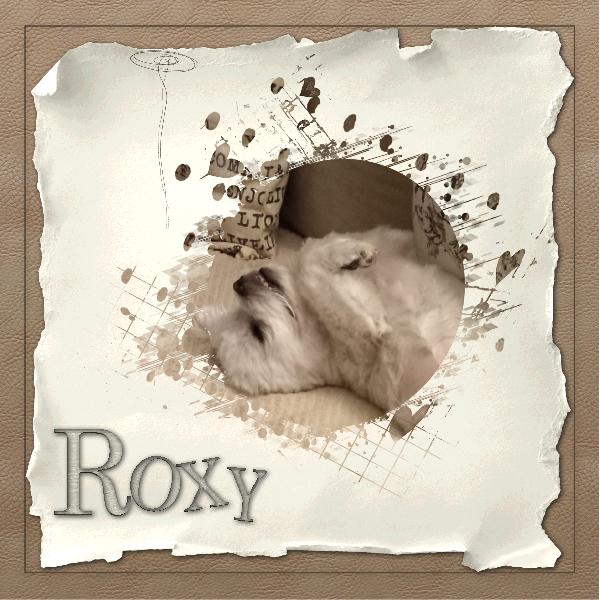 Roxy