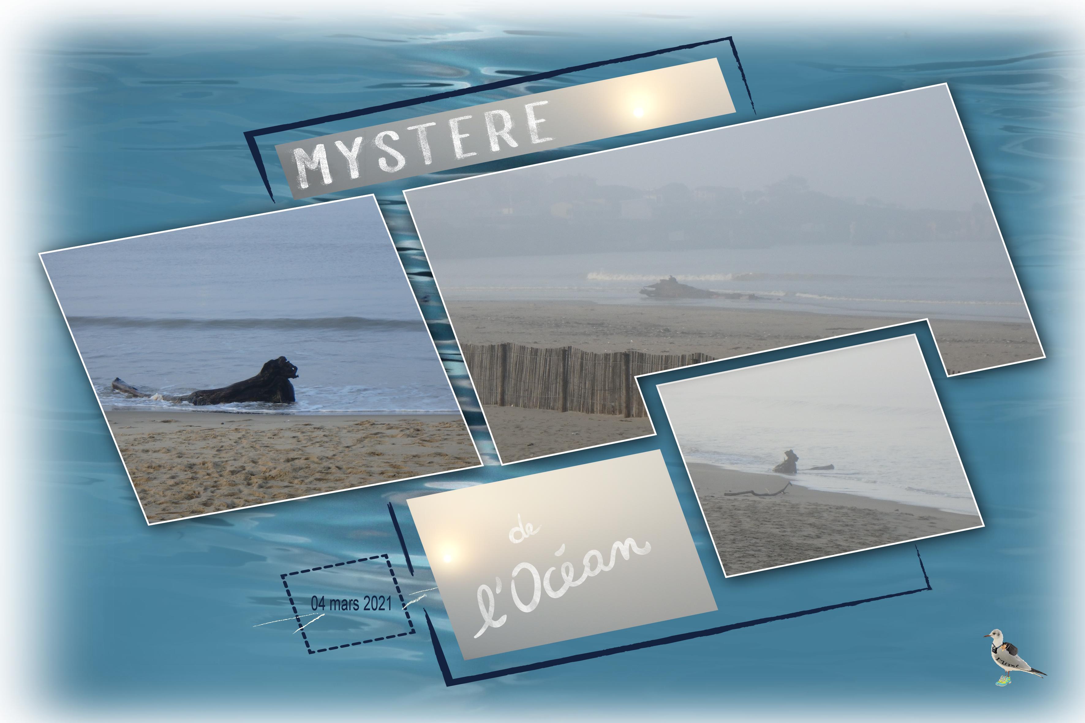 Royan-brouillard-mystère de l'océan-04mars.jpg