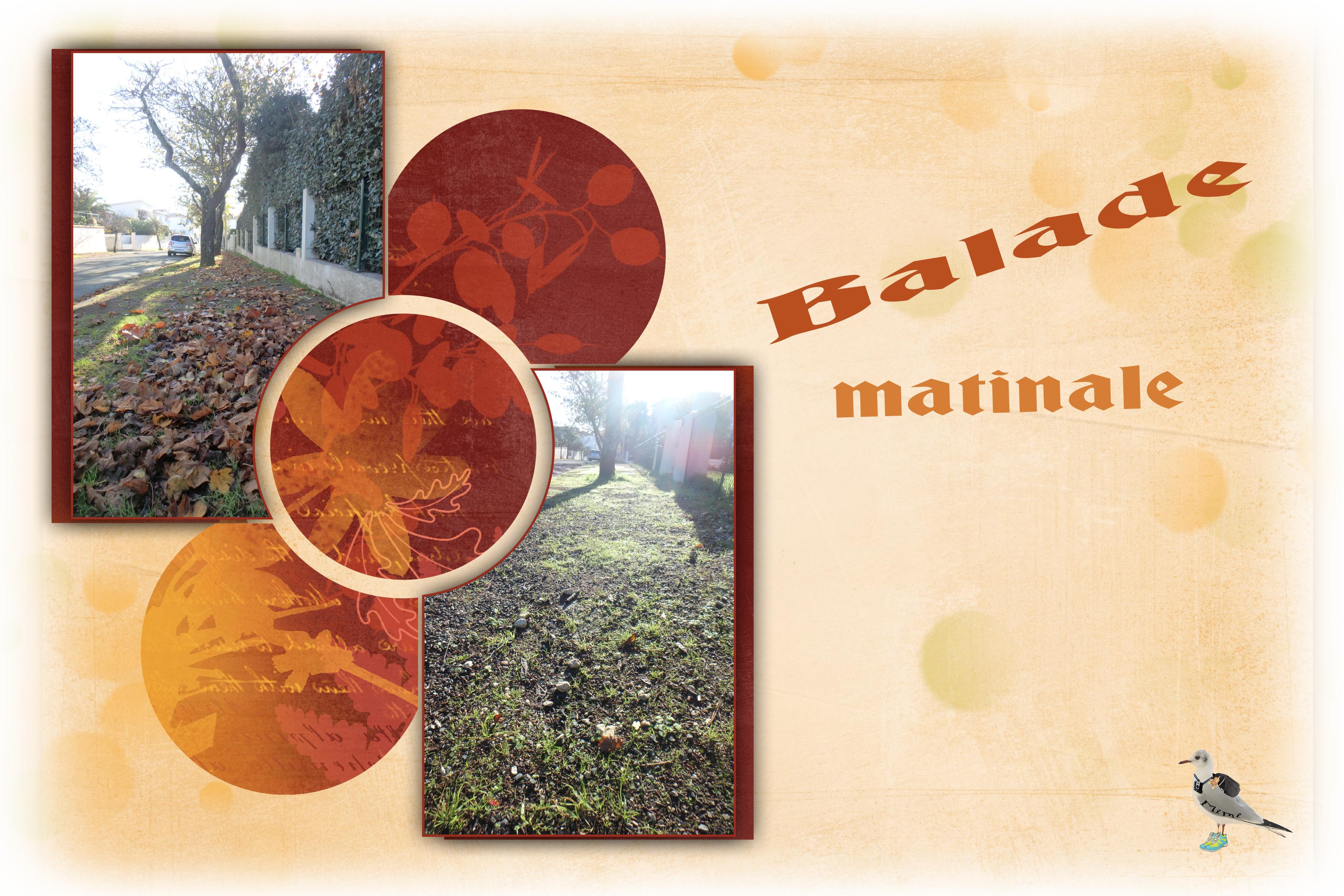 Royan- dans les rues désertes-04 nov.jpg