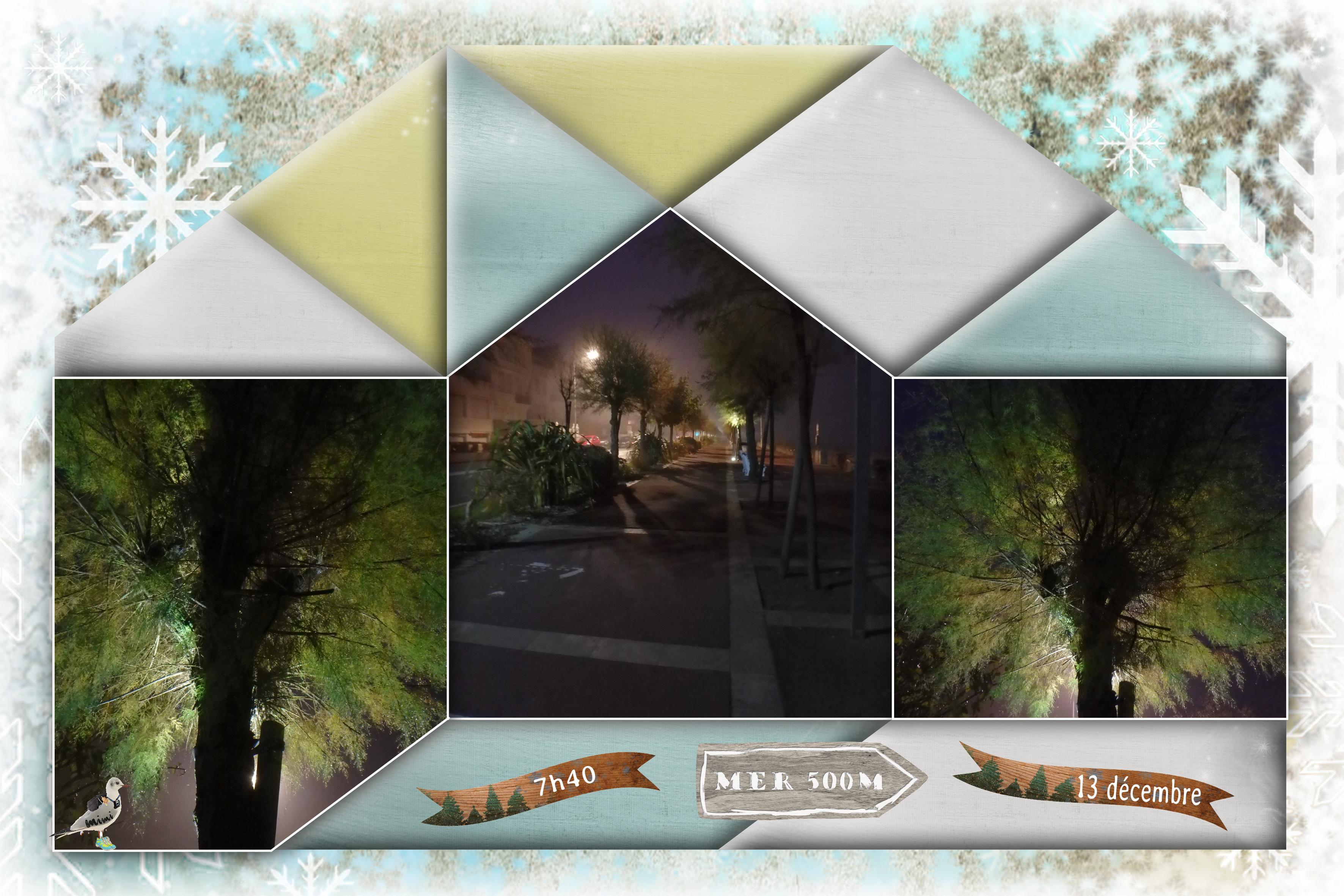 Royan-direction St Georges-13 déc.jpg