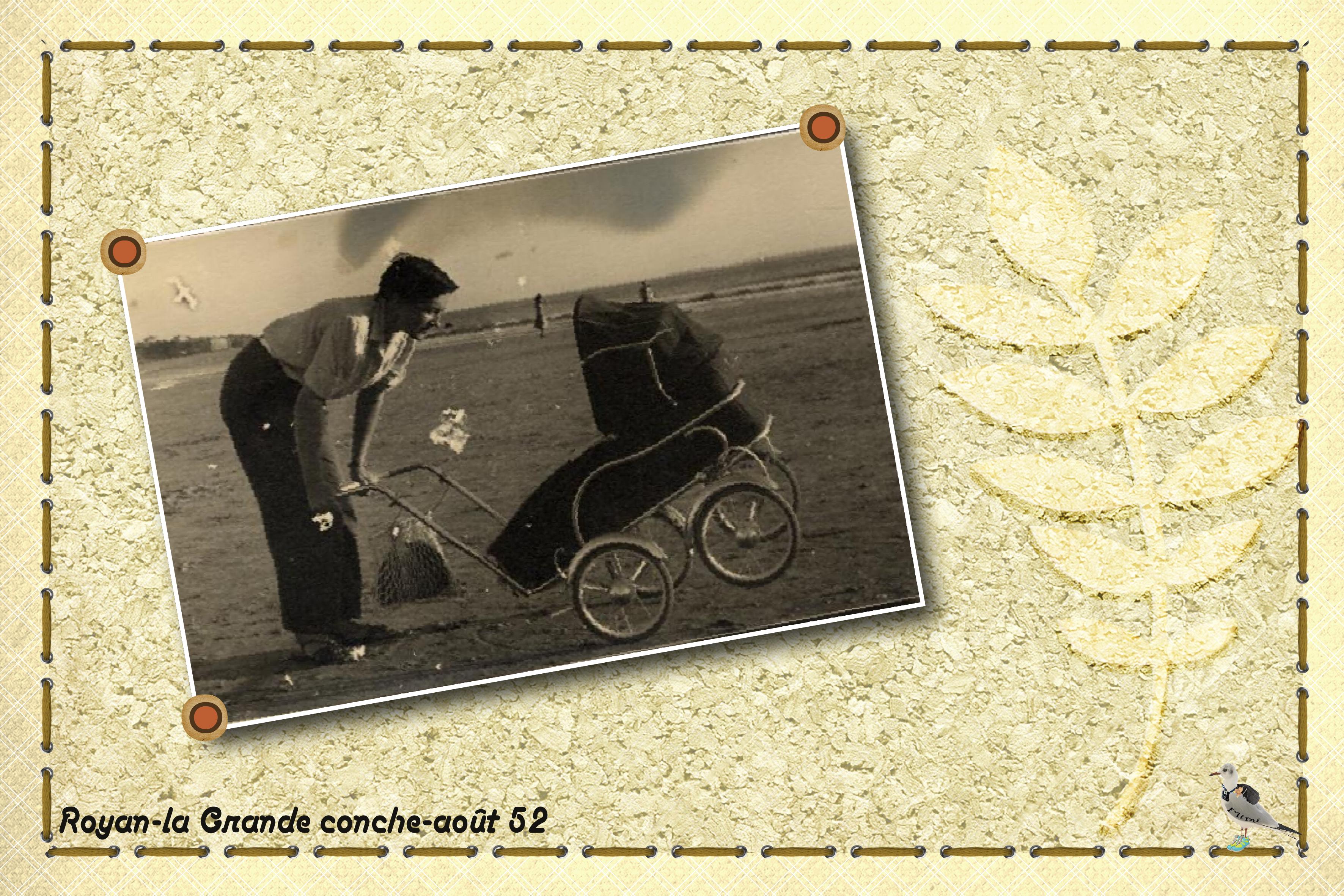 Royan-grande conche-août 52.jpg