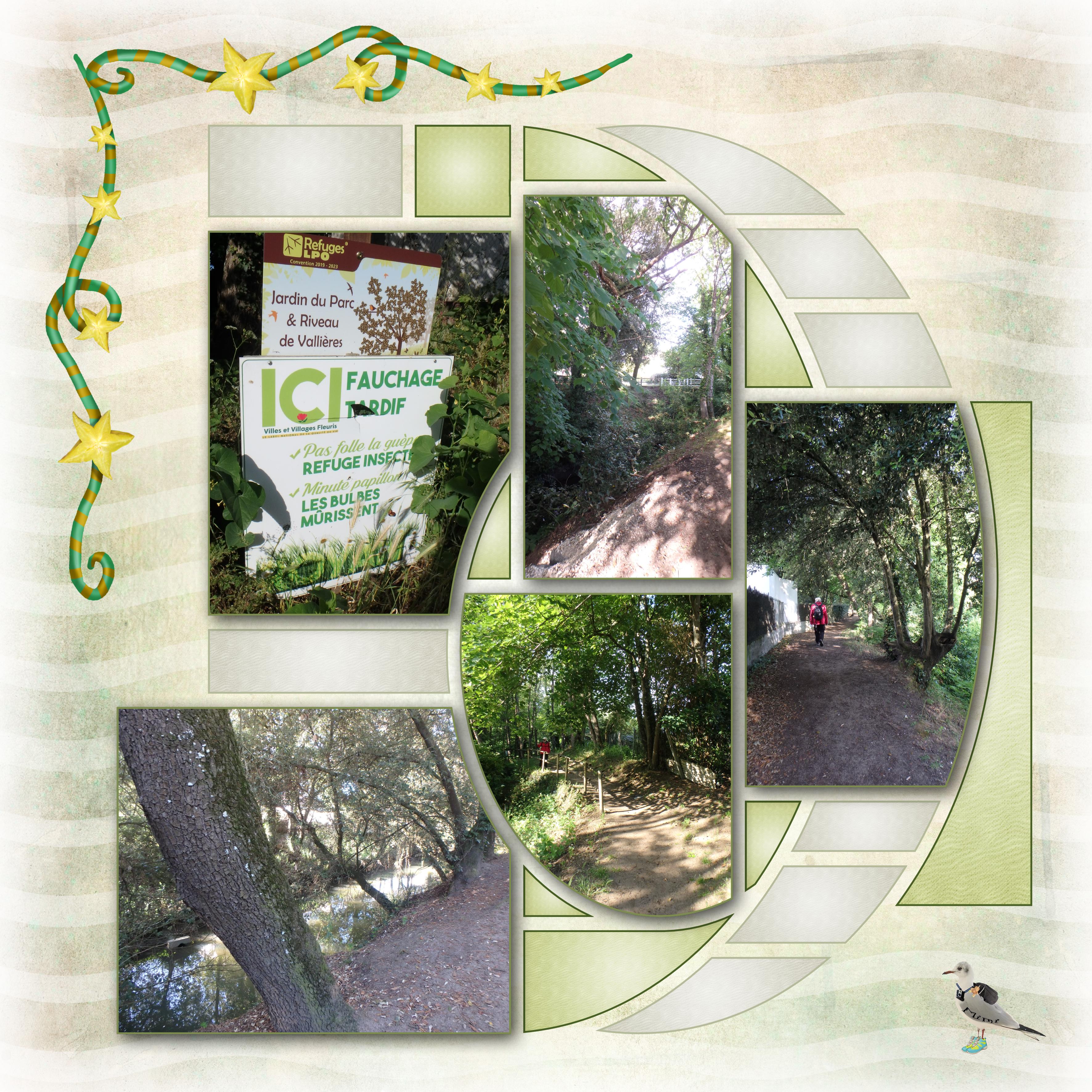 Royan-le Riveau-27 mai.jpg