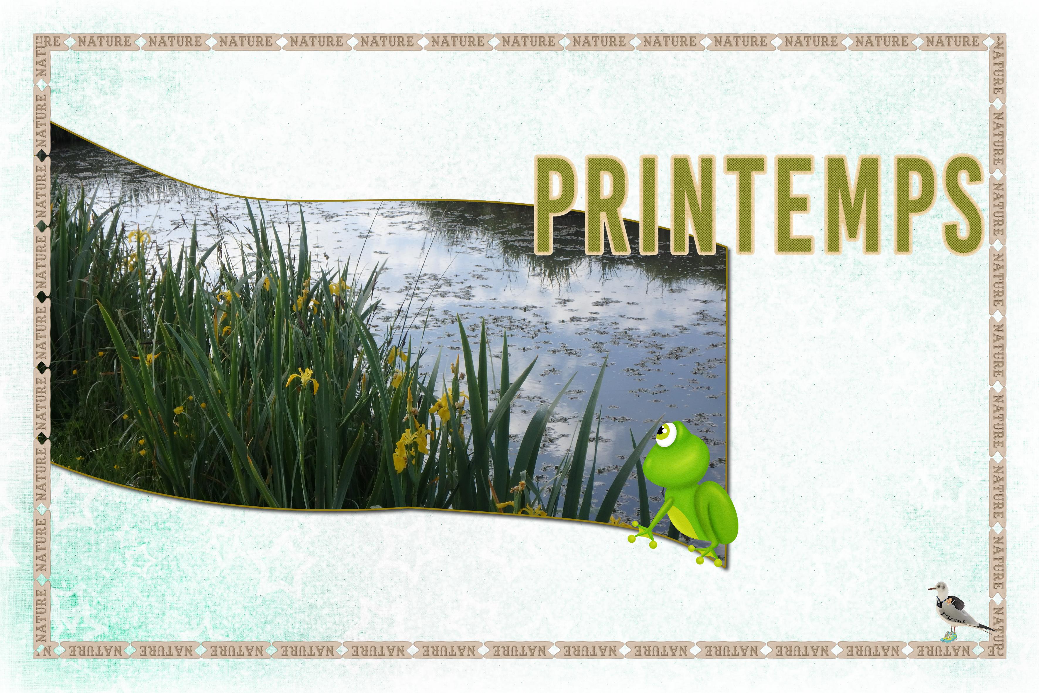 Royan- marais Pousseau-29 avril.jpg