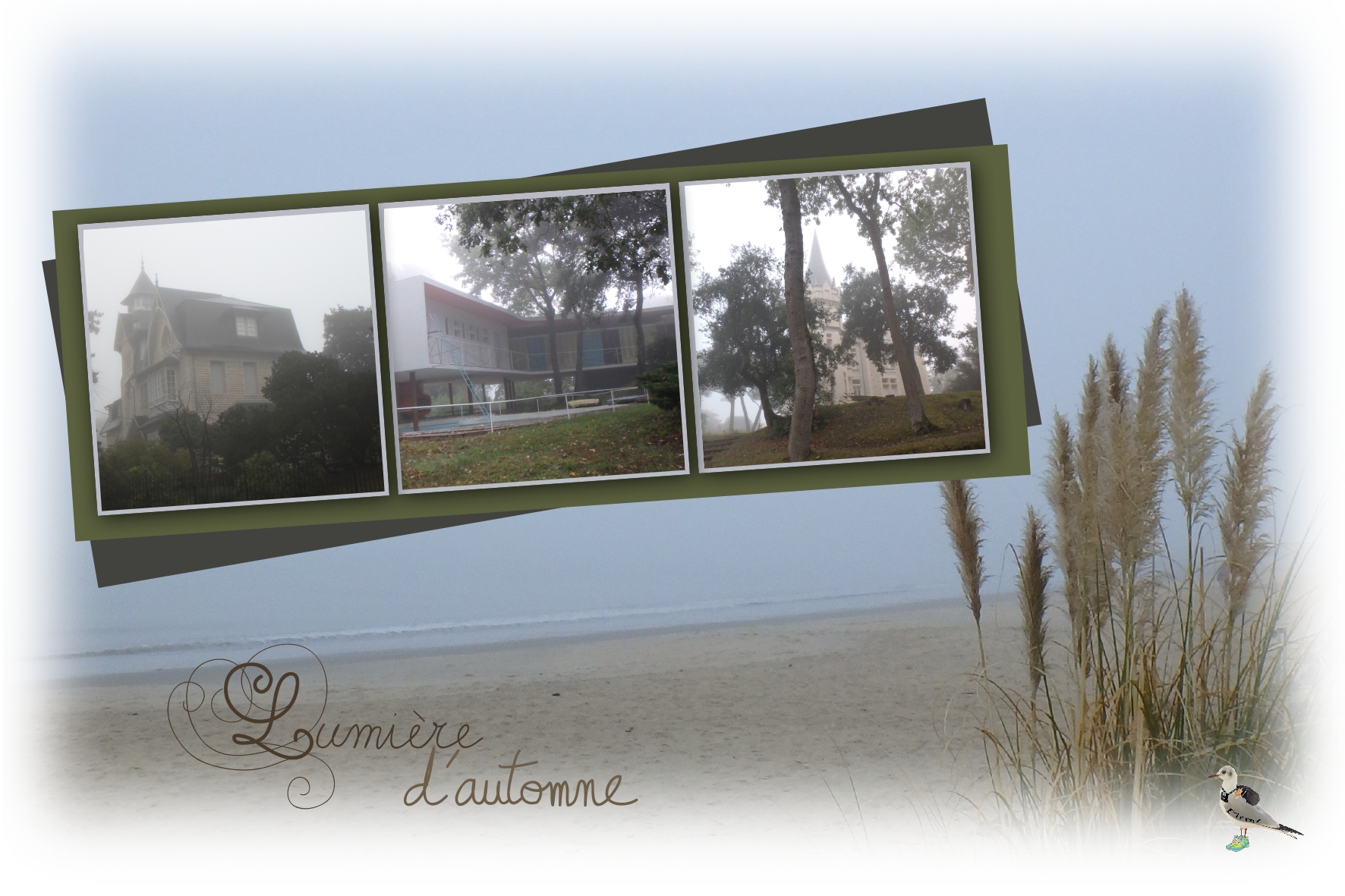 Royan-villas dans le brouillard matinal-12oct.jpg