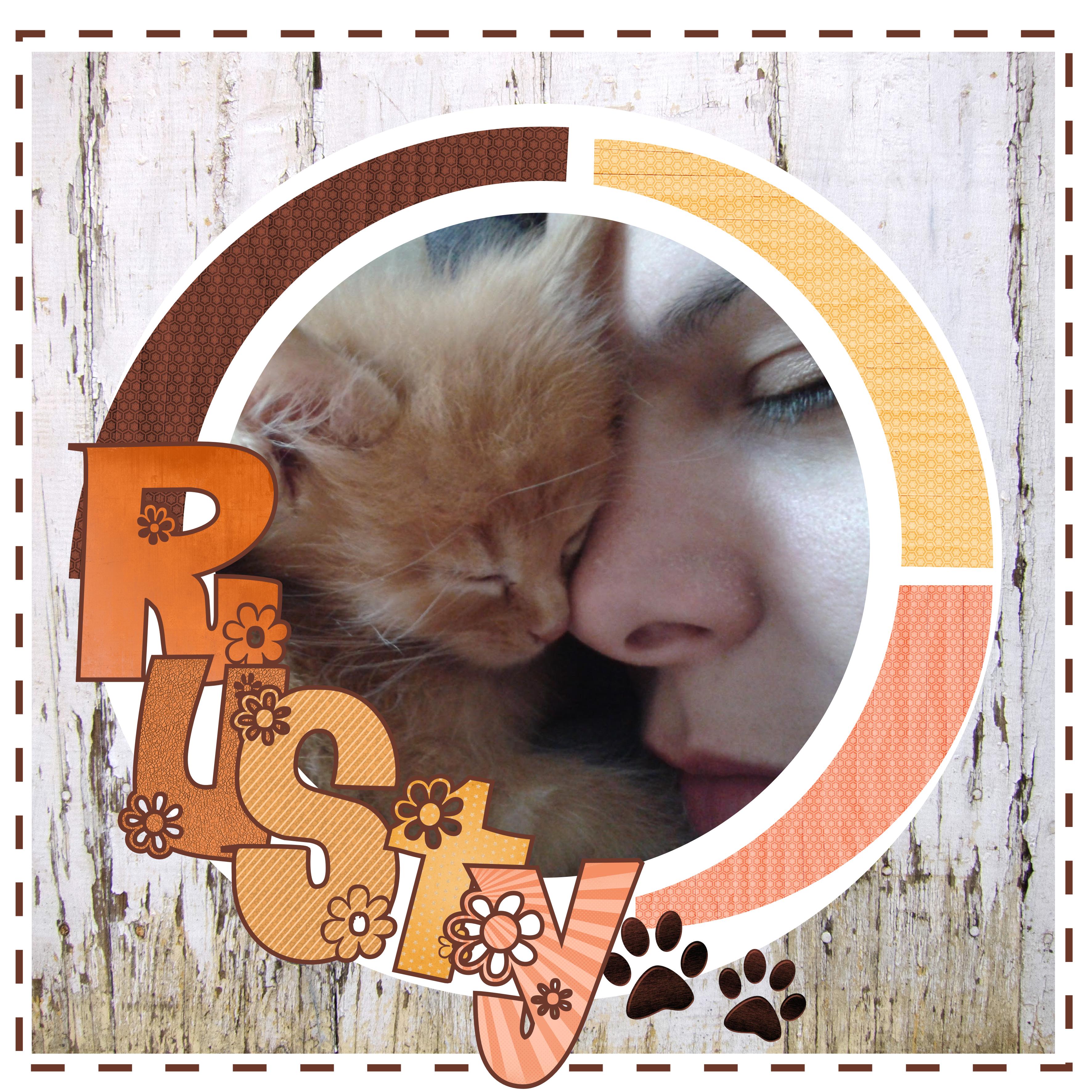 Rusty bebe calin apres operation.jpg