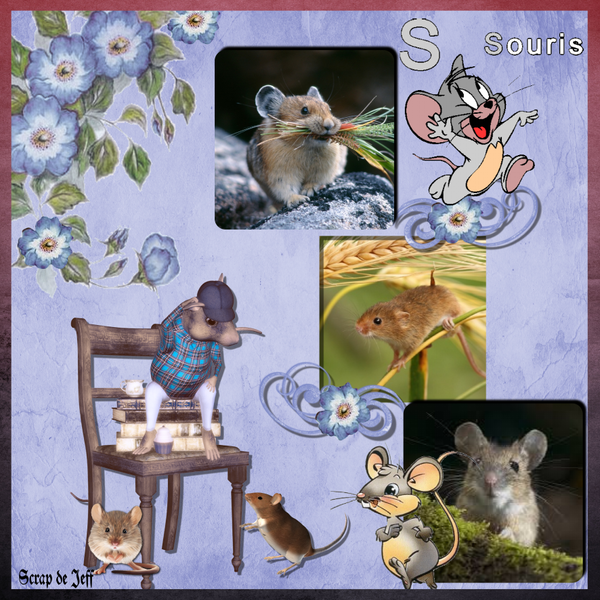 S comme souris