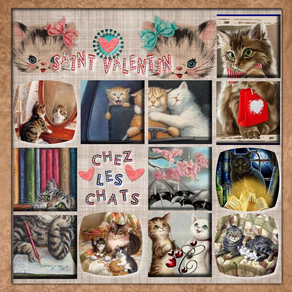 s_t_valentin_ches_les_chats_avec_cadre