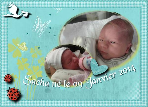 Sacha mon p'tit fils