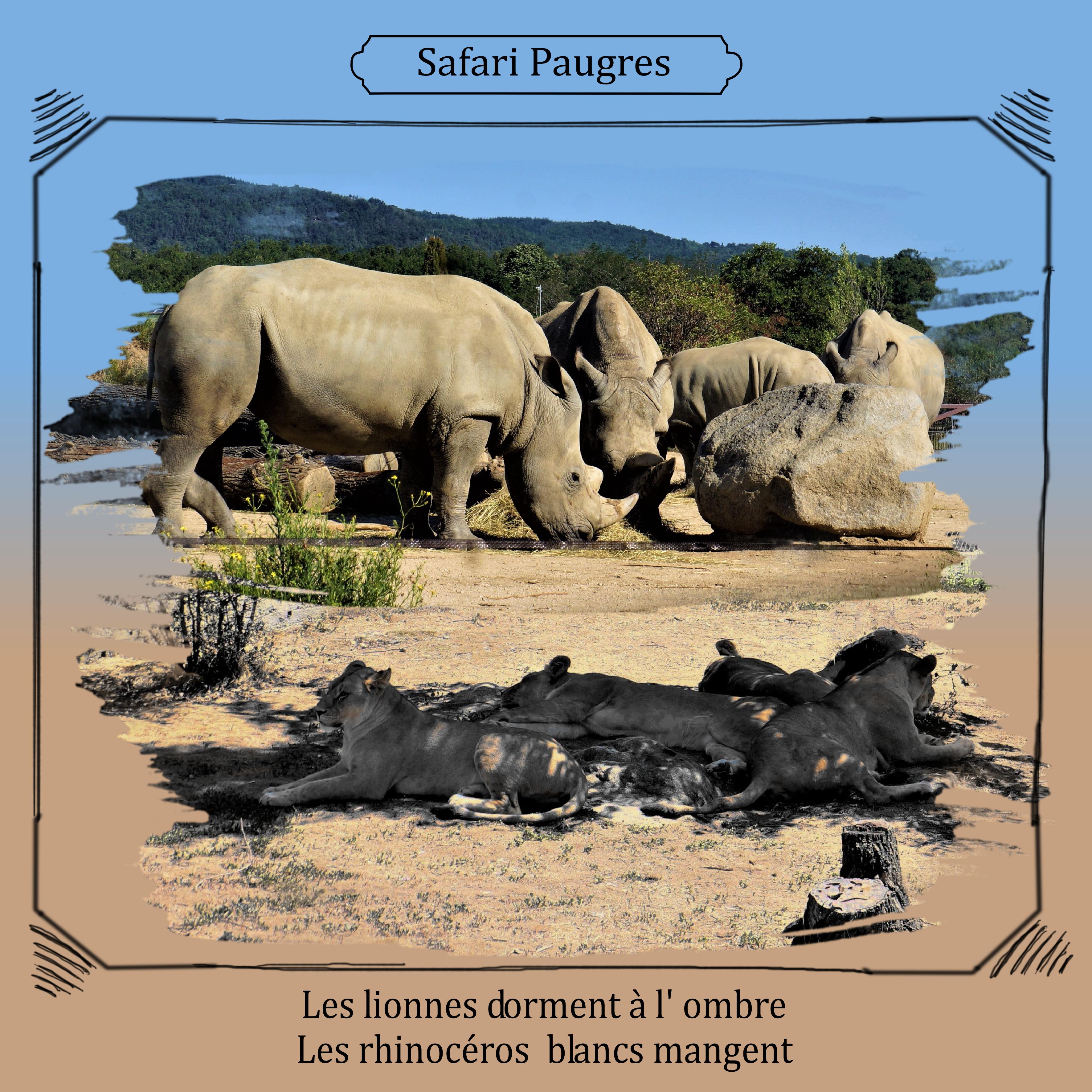 Safari Paugres.jpg