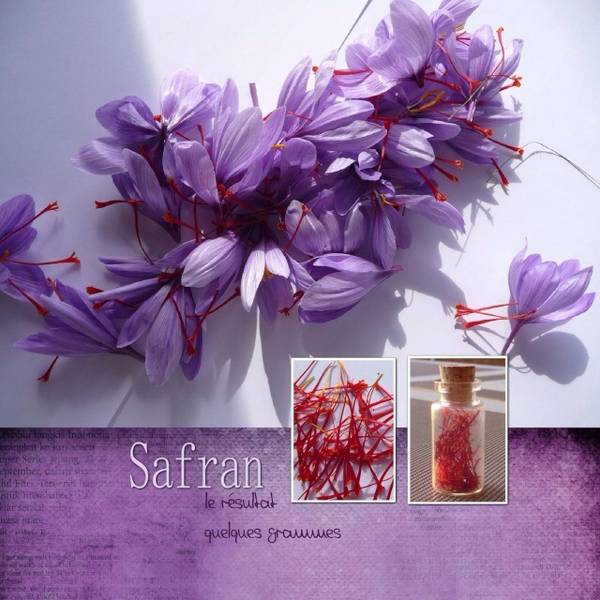 Safran