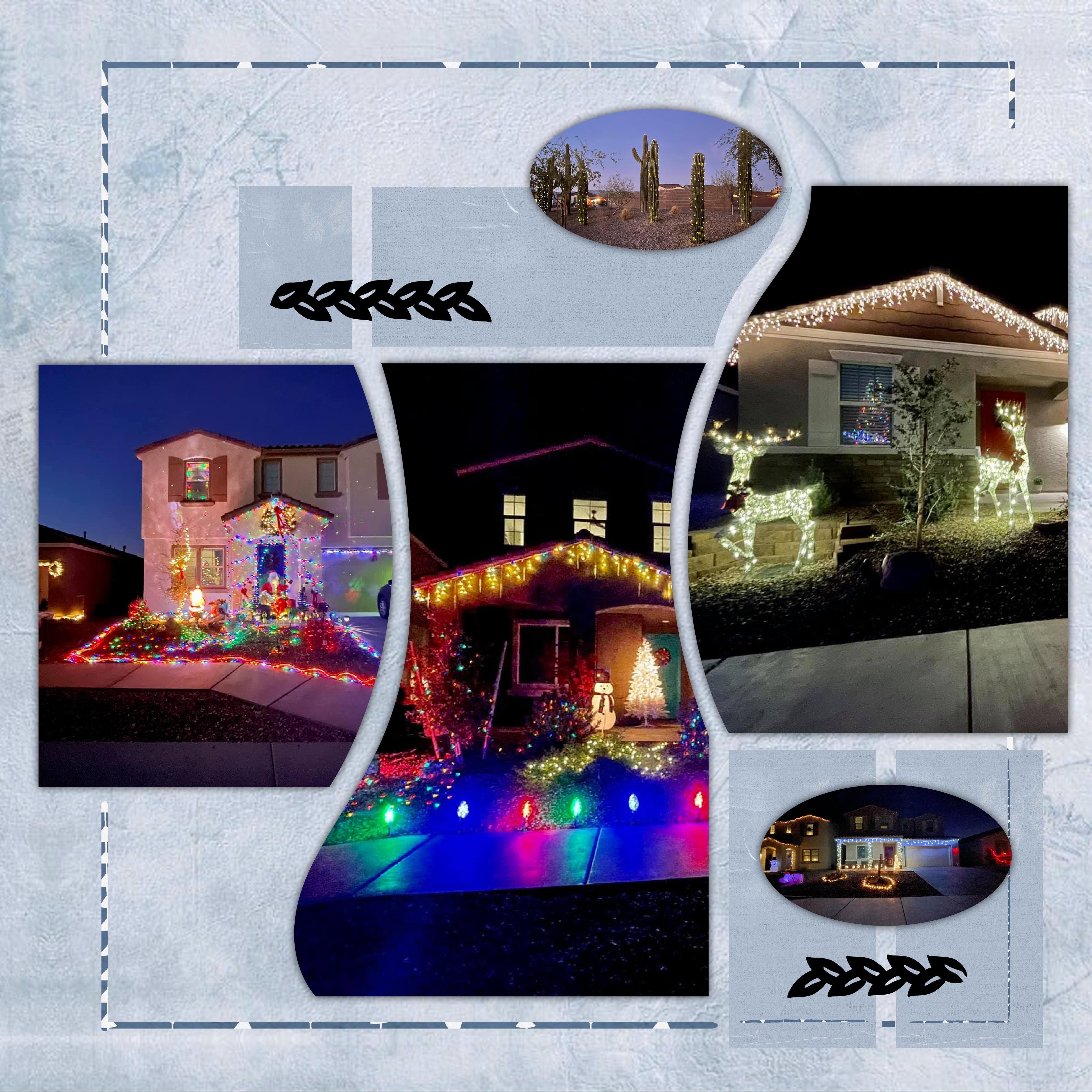 Saguaro trail (page 1).jpg