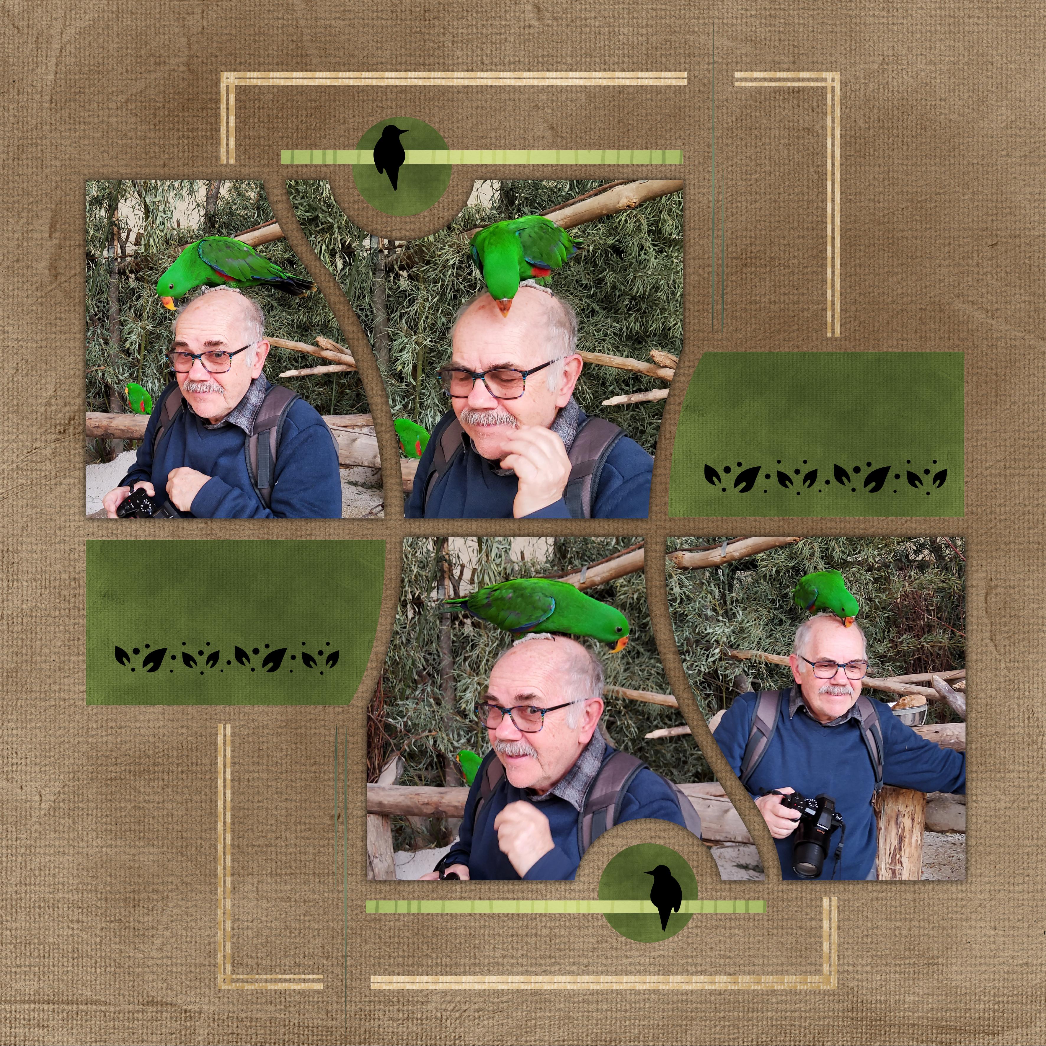 Saïmiri du Pérou (page 7).jpg