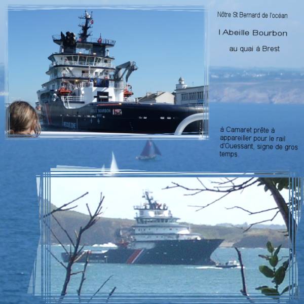 Saint Bernard de l'océan