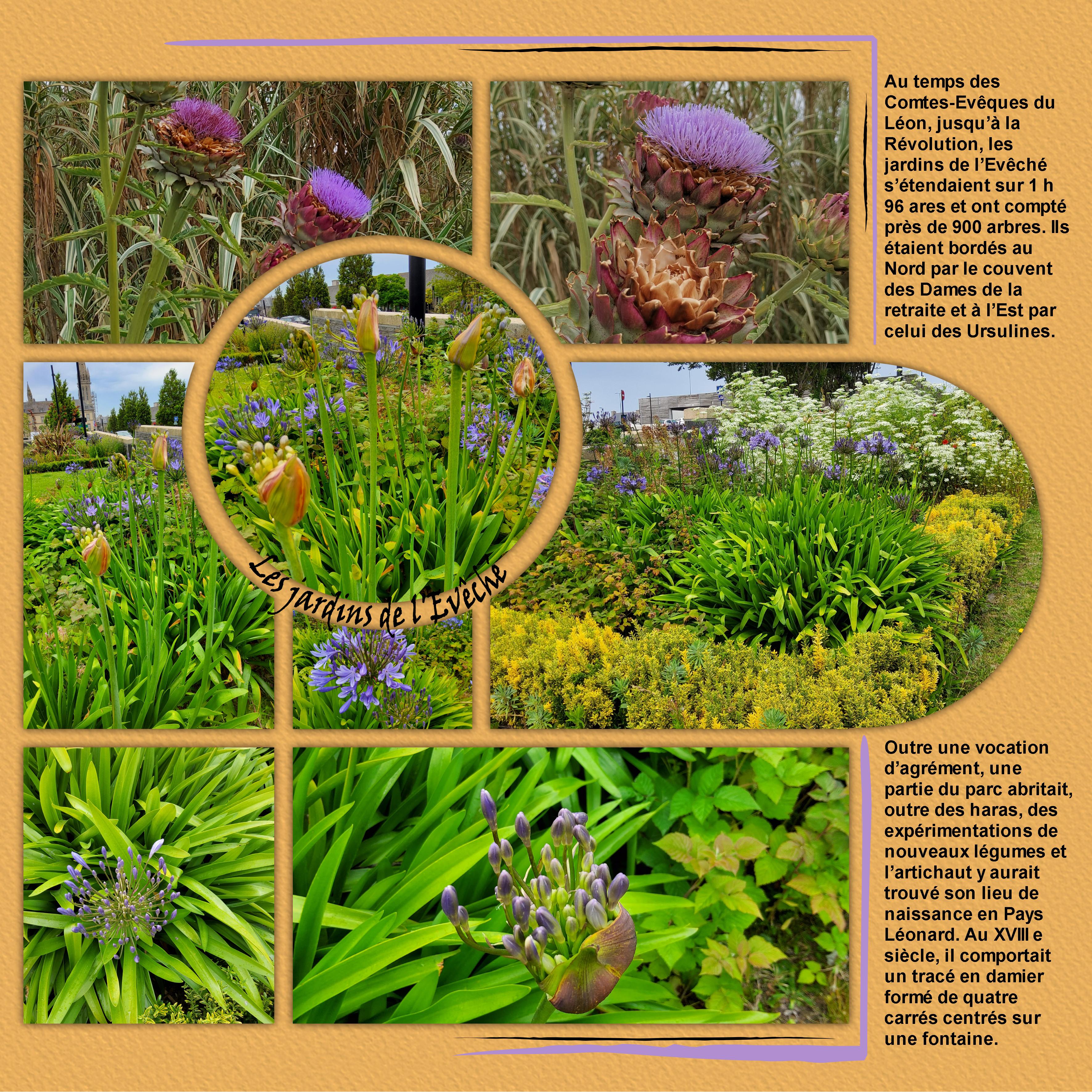 Saint Pol de Léon (page 7).jpg