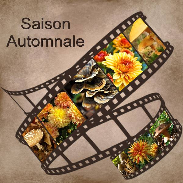 SAISON AUTOMNALE